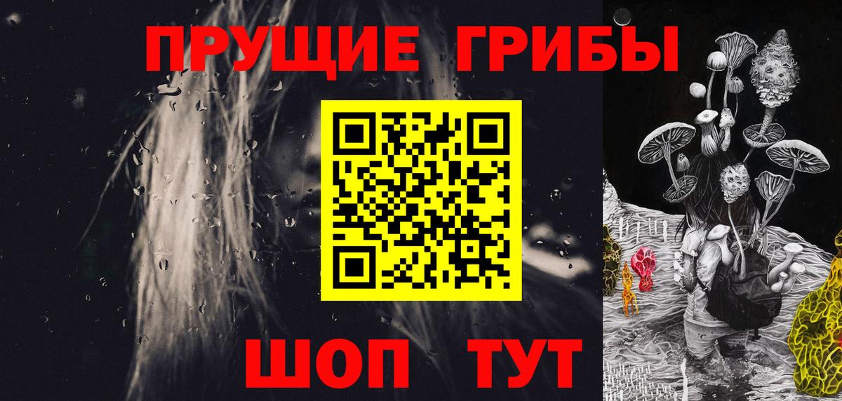 Псилоцибиновые грибы мицелий Киселёвск