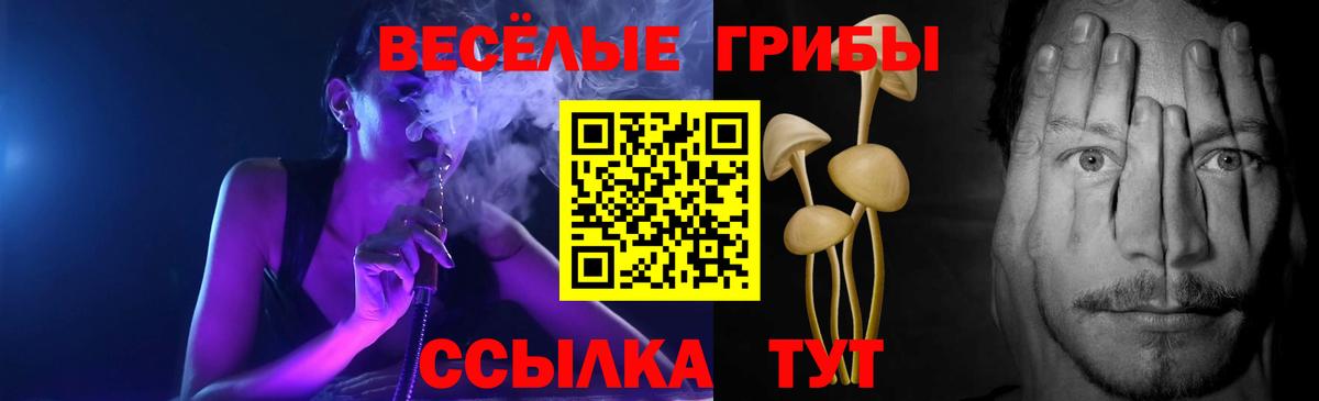 Псилоцибиновые грибы прущие грибы  Вход с VPN  Киселёвск 
