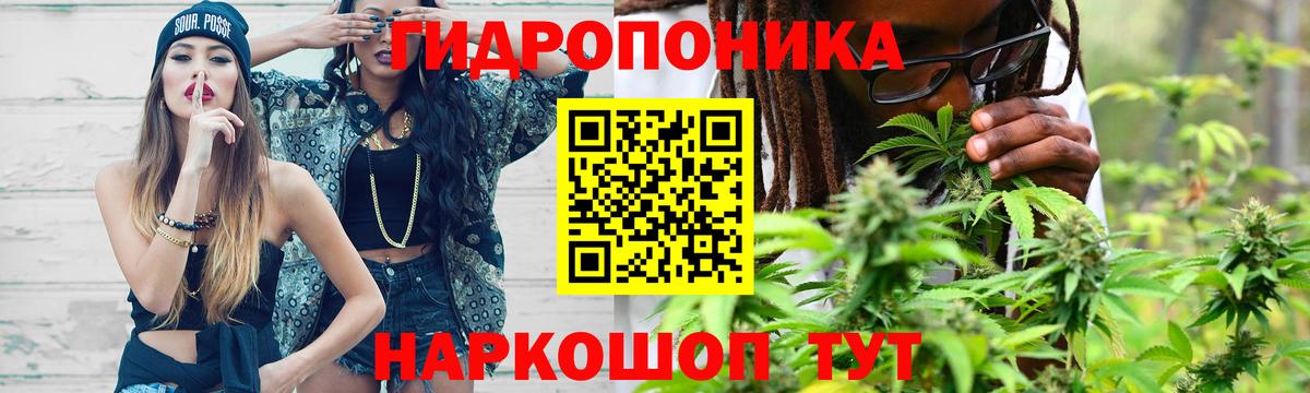 Каннабис план  Вход с VPN  Марихуана MAZAR  Киселёвск 